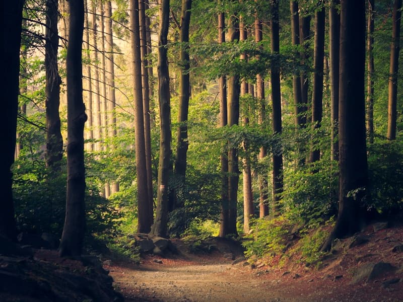Boğaz'da Günbatımı Yogası: Teknede Serenlik